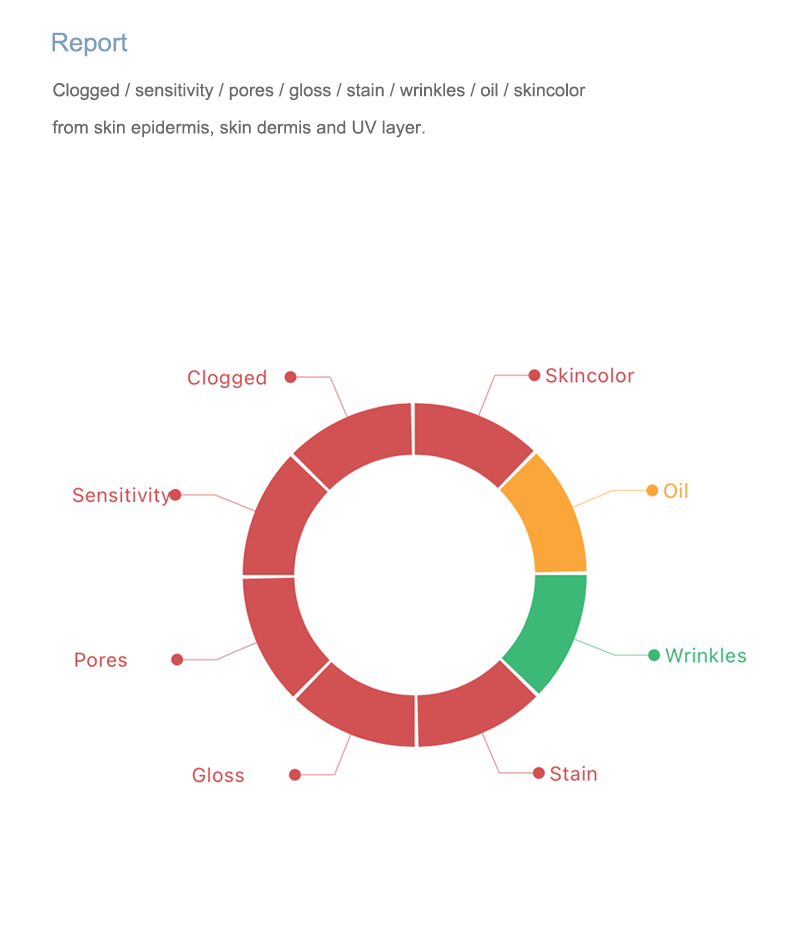 skin analysis report